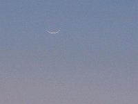 March 2008 New Moon by John F.